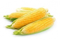 Kukurydza - Warzywa  liofilizowane